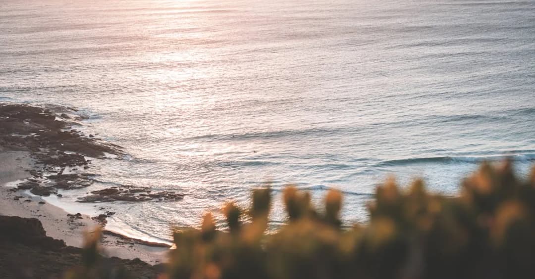 7 fryzur z "Ex na plaży: Szwecja", których należy unikać