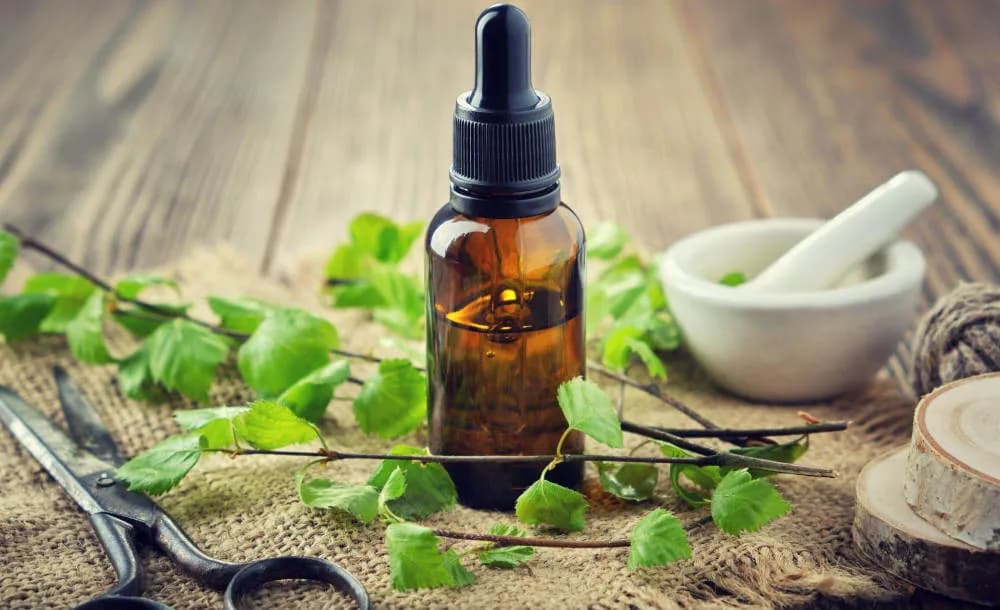 Betulina na gronkowca: Czy to może naprawdę działać?