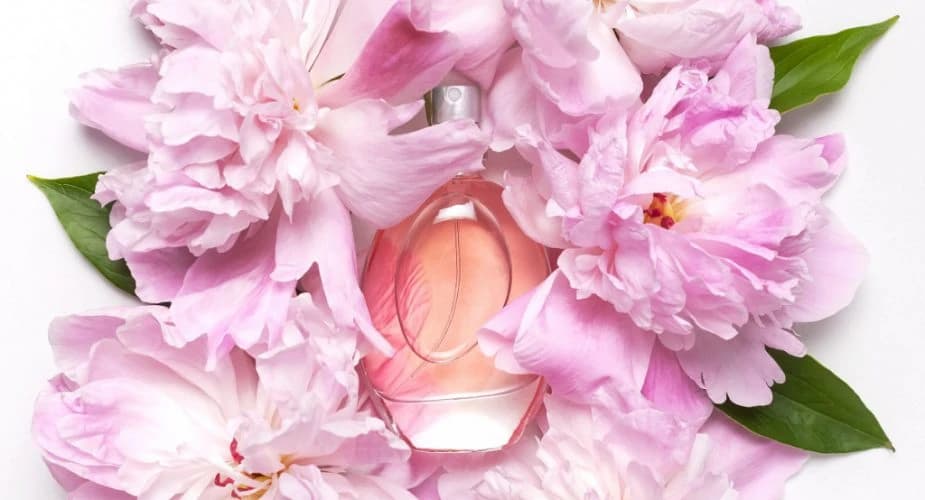 Perfumy z piwonią - Najlepsze zapachy dla miłośników kwiatowych nut